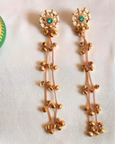 Varnika Heritage Dabglers